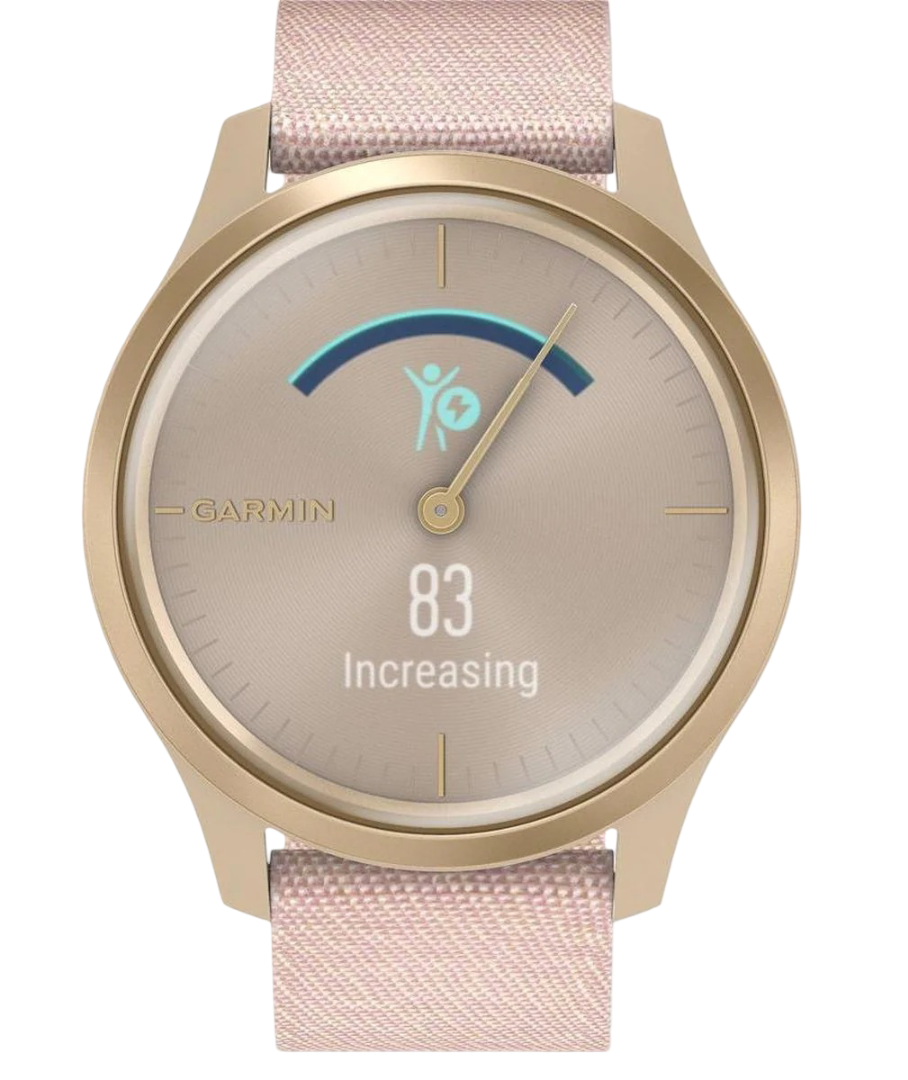 Garmin Vivomove Style bandjes