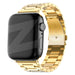 Bandz Apple Watch Steel Strap 