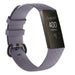Fitbit Charge 4 Silikonarmband (Blaugrau)