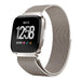 Fitbit Versa / Versa 2 Milanese-Armband (Polarstern)