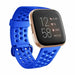 Fitbit Versa/Versa 2 Breathable Strap (Blue)