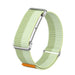 Fitbit Air nylon band met frame (mint groen)