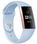 Fitbit Charge 4 Sportarmband (Hellblau)