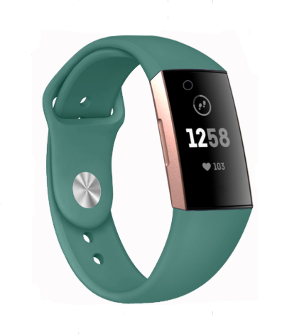 fitbit-charge-4-tannengruen-sportarmband