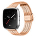 Fitbit Versa/Versa 2 Fine Steel Strap (Rose Gold)