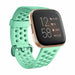 Fitbit Versa/Versa 2 Breathable Strap (Aqua)