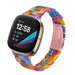 Fitbit Versa 3 Resin Strap (Multicoloured)