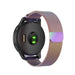 Garmin Forerunner 255s Milanese Strap (Rainbow)