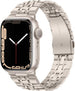 Apple Watch Luxus Stahlgliederband (Polarstern)